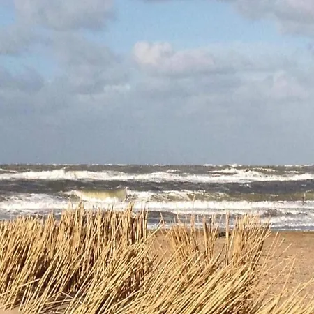 Near Coast, Cleaning Included Semesterbostad *