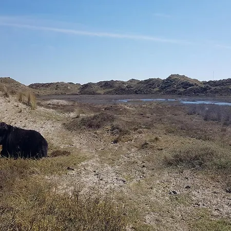 Near Coast, Cleaning Included Semesterbostad